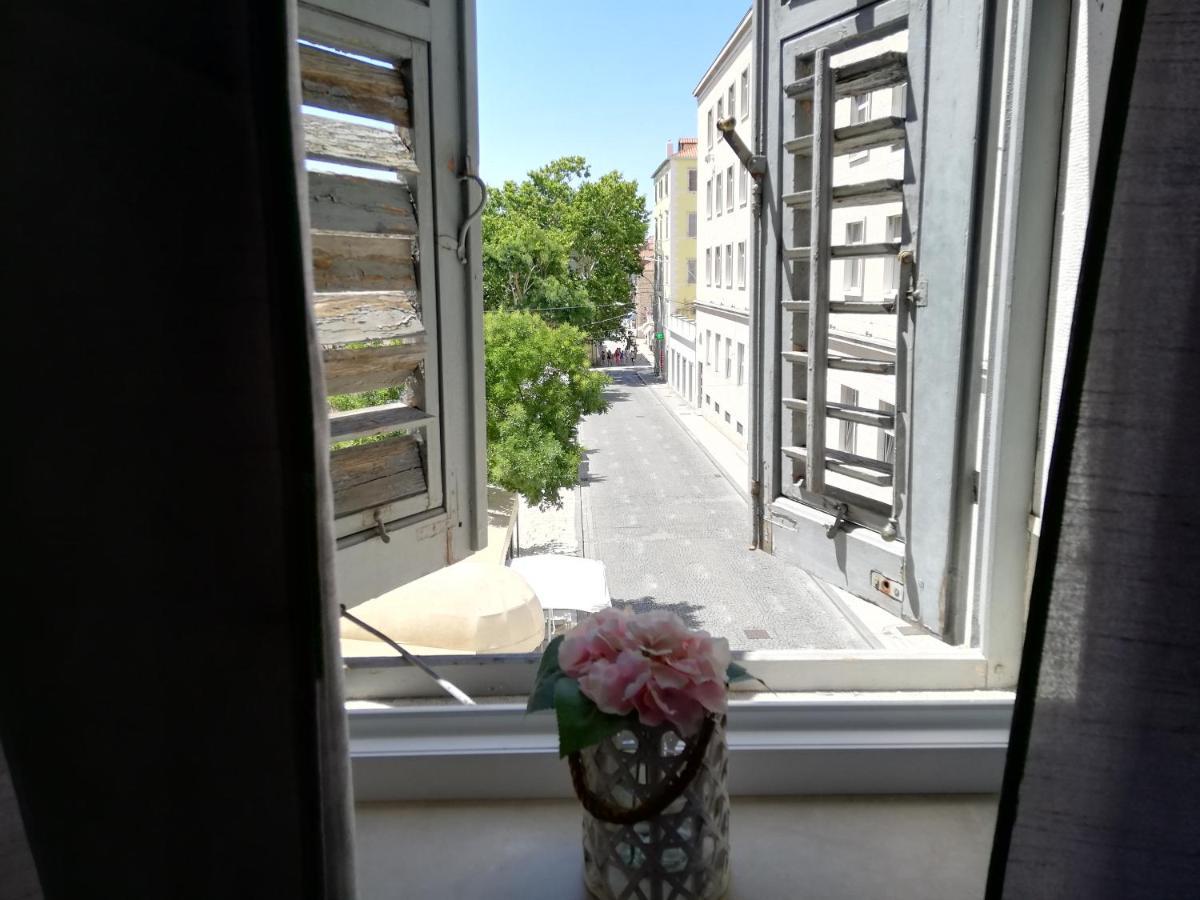 Optimist Split/city Center Apartament
